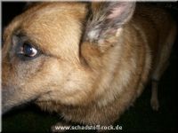30. GB-feier Sepp 14.07.07 (76)